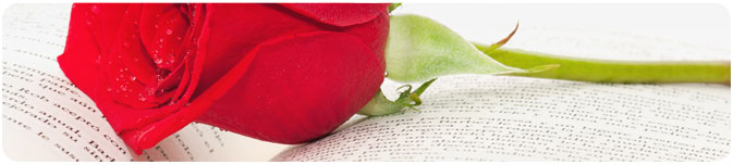 Libros personalizados de Sant Jordi | Ludobooks