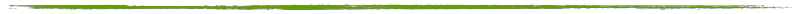 linea verde separador